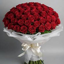 Букет 101 Красная роза Блэк Мэджик в Вешкайме
