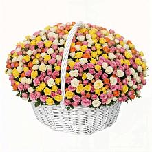 Премиум букет из: Розы в Вешкайме