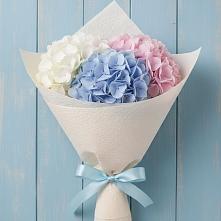 Букет цветов из:  Гортензия в Вешкайме