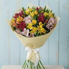 Букет цветов из:  Альстромерии в Вешкайме