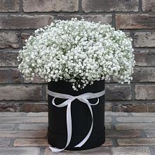 Цветочная композиция из Гипсофила в шляпной коробке в Вешкайме