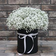 Цветочная композиция из Гипсофила в шляпной коробке в Вешкайме