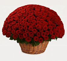 Премиум букет из: Розы в Вешкайме