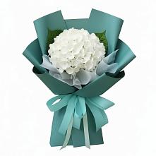 Букет цветов из:  Гортензия в Вешкайме